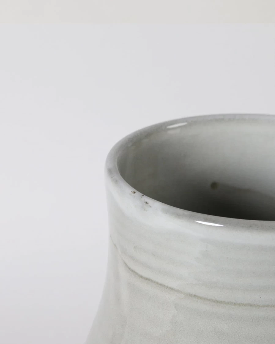 "Robert Gordon Large Botanica Vase - Handcrafted Ceramic Saltbush Design Home Decor"