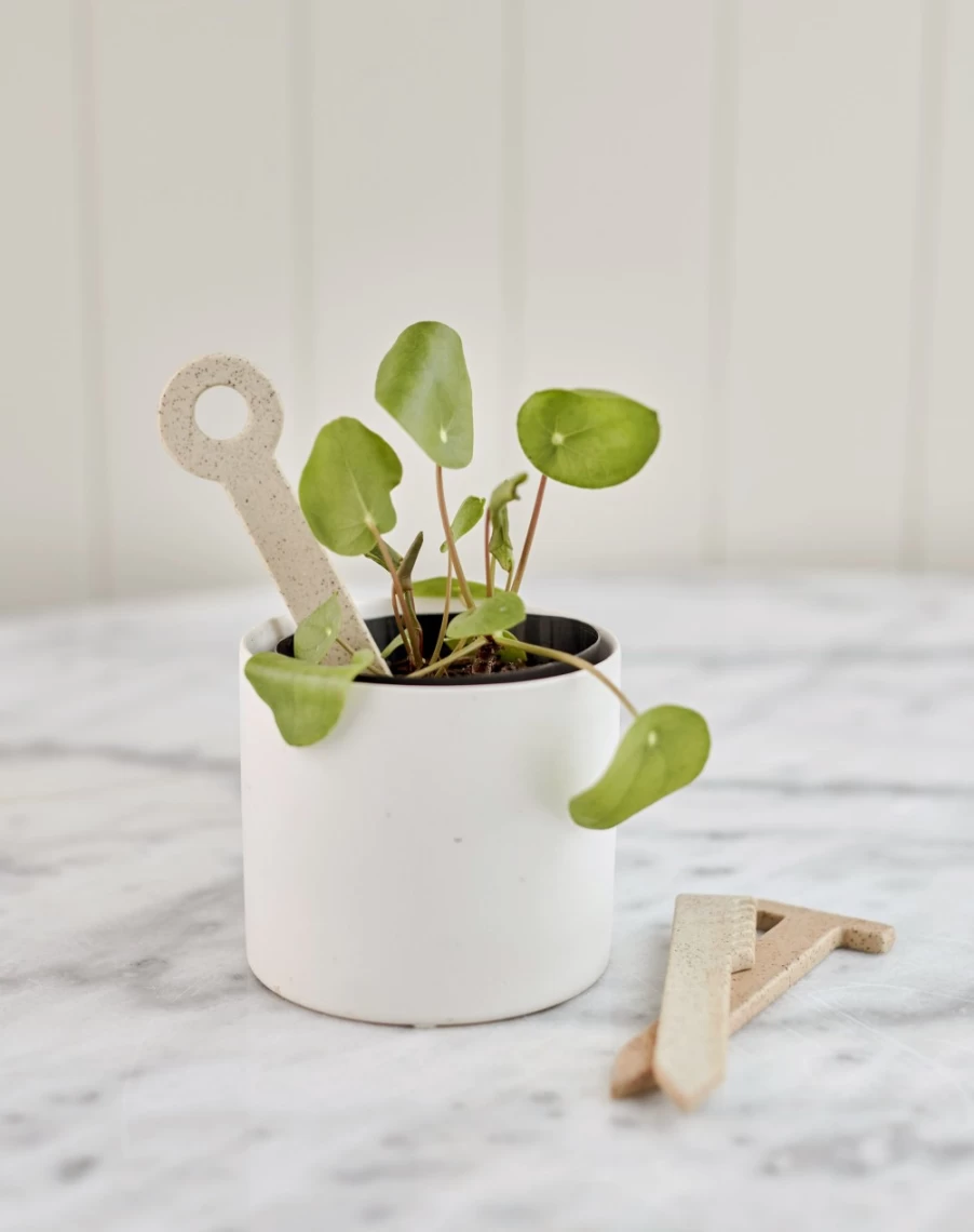 Robert Gordon Handy Little Things Herb Stakes - Decorative Plant Markers for Garden Herb Identification