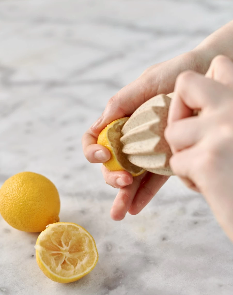 Robert Gordon Hand Juicer - Compact Citrus Press for Effortless Squeezing