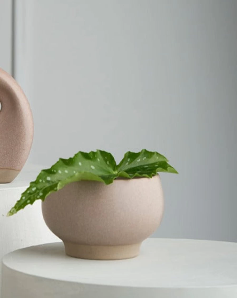 Robert Gordon Ikebana Vase in Marle Blush - Handcrafted Ceramic Flower Vase for Modern Home Decor